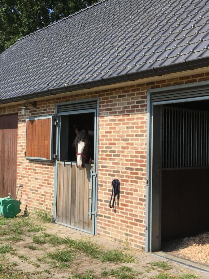 Vakantiewoning Pelterheggen Grote Heide Exterior foto