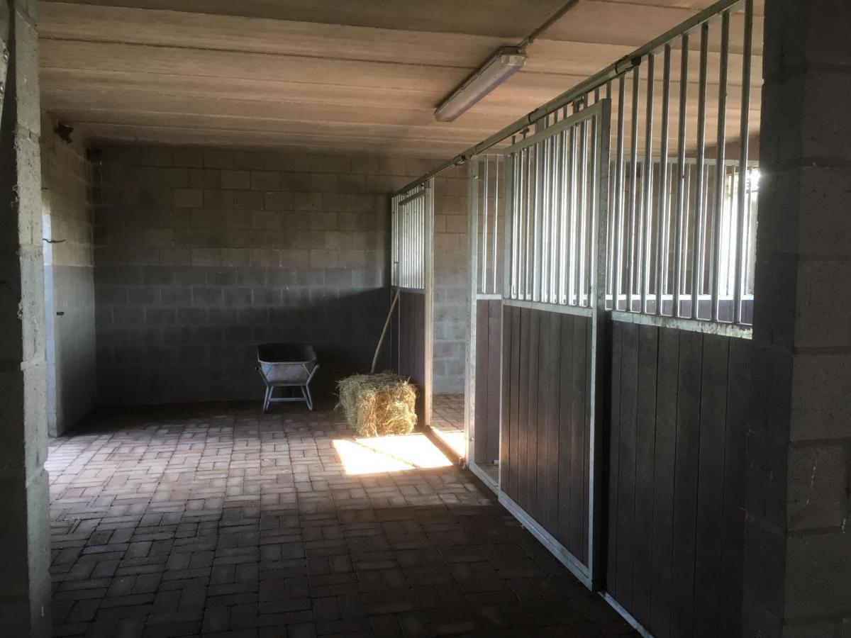 Vakantiewoning Pelterheggen Grote Heide Exterior foto